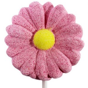 Fairy Wand Flower Bath Ball