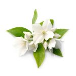 jasmine fragrance bath balls