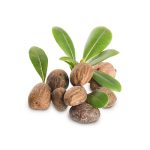 good shea butter bath bombs